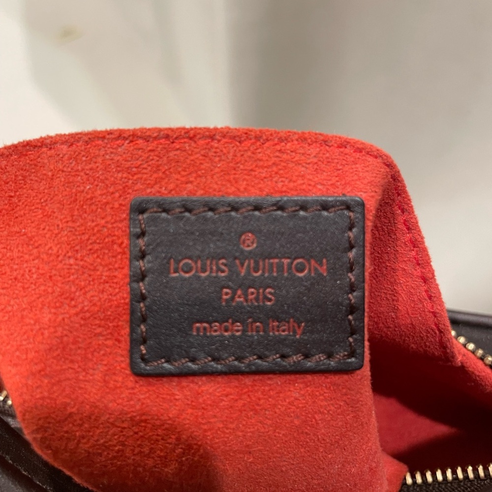 Louis Vuitton Damier Sauvage Leather Tigre Handbag - Picture 12 of 14